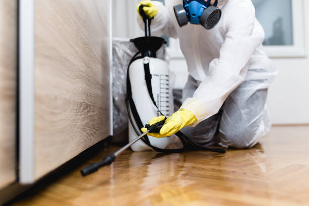 Best Pest Control Treatment  in Lake Kerr, FL