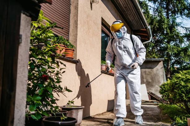 Best Pest Control Near Me  in Lake Kerr, FL
