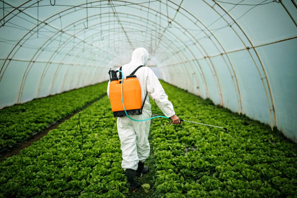 Best Pest Inspection Near Me  in Lake Kerr, FL