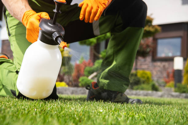 Best Affordable Pest Control Services  in Lake Kerr, FL