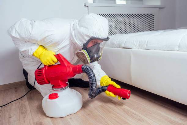 Best Mosquito Control Services  in Lake Kerr, FL